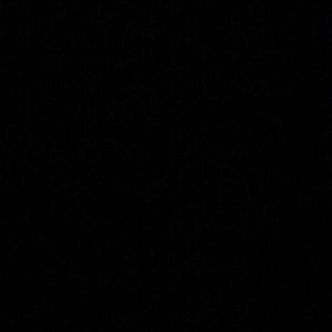 Meet your Posher, Claudia